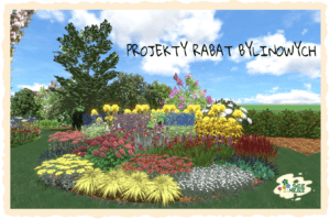 projekty ogrodów - projekt rabaty bylinowej - zdjęcie ogrodu